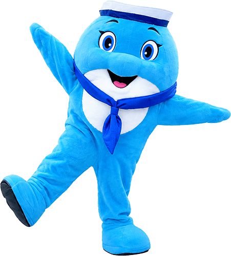 海豚Andy